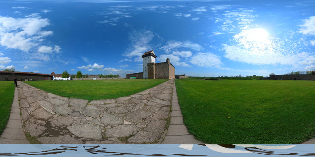 Логотип 360 градусов flexify2