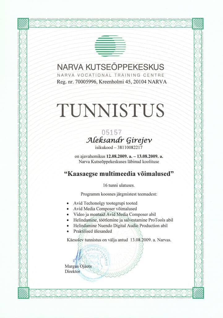 kaasaegse multimeedia voimalused 2009