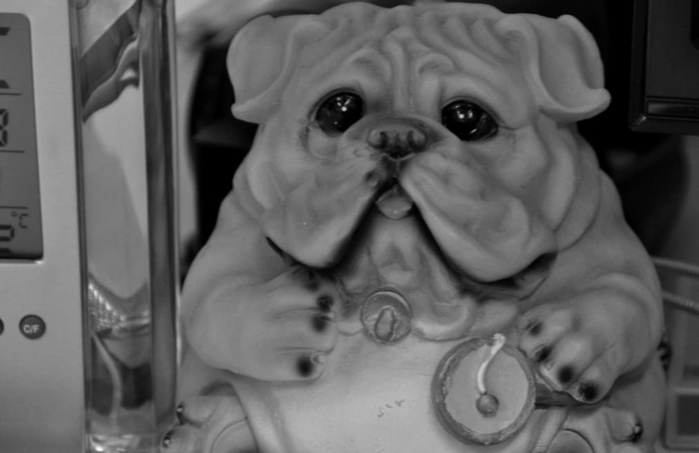 Черно- белая фотографмя