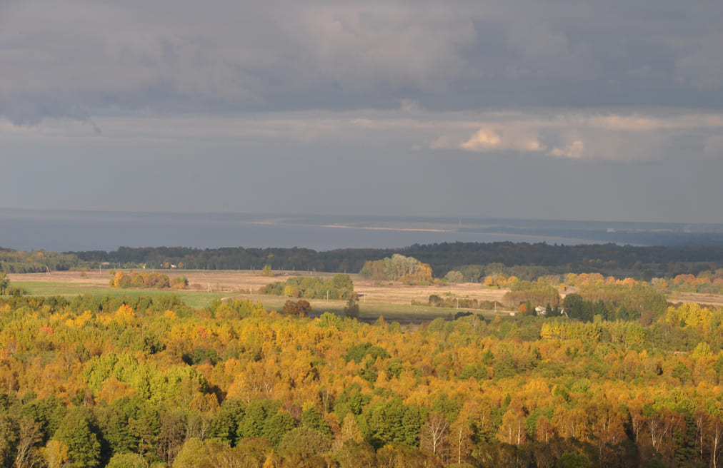 Краски осени