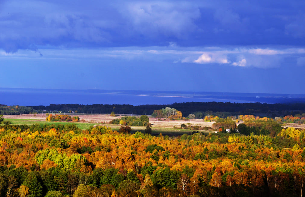 Что получилось