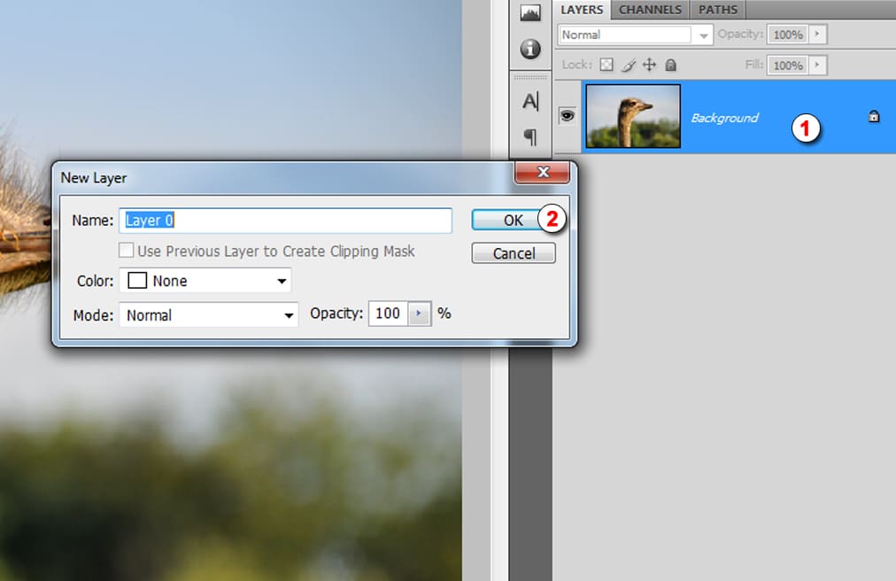 Создаем слой