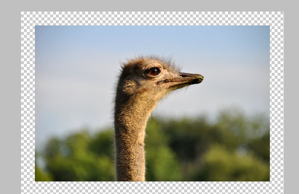 Измененный размер